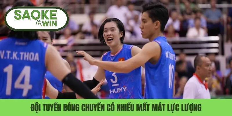 Những VĐV Việt Nam Vắng Mặt Đáng Tiếc Tại Seagame 33 3 Đội tuyển bóng chuyền có nhiều mất mát lực lượng